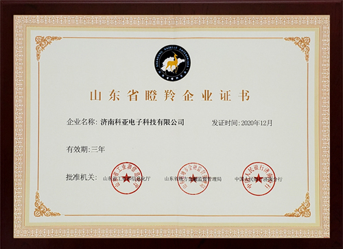 瞪羚企业